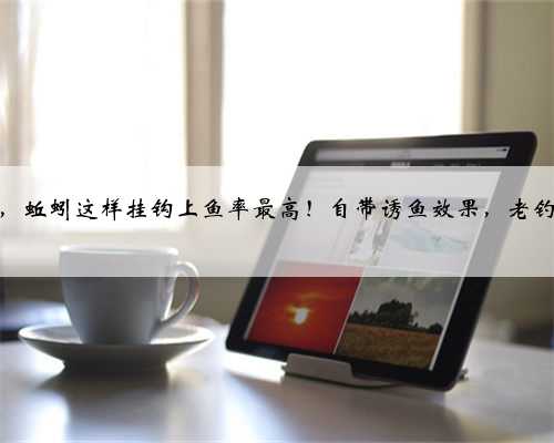 冬季野钓，蚯蚓这样挂钩上鱼率最高！自带诱鱼效果，老钓友都在用