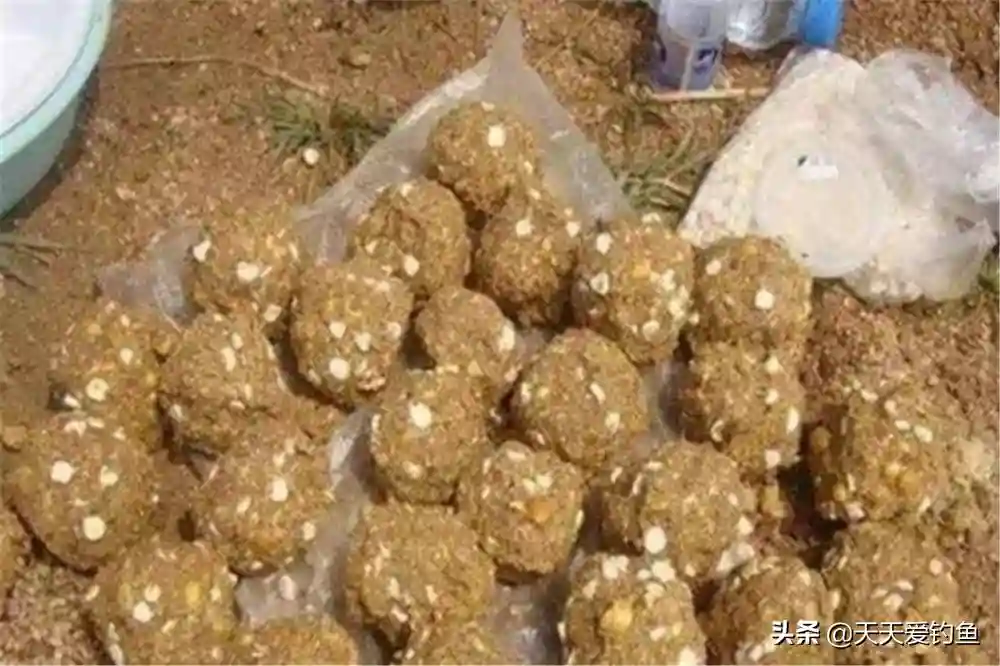 野钓经常“空军”，是不是犯了这些忌讳？这些“坑”坚决不能踩