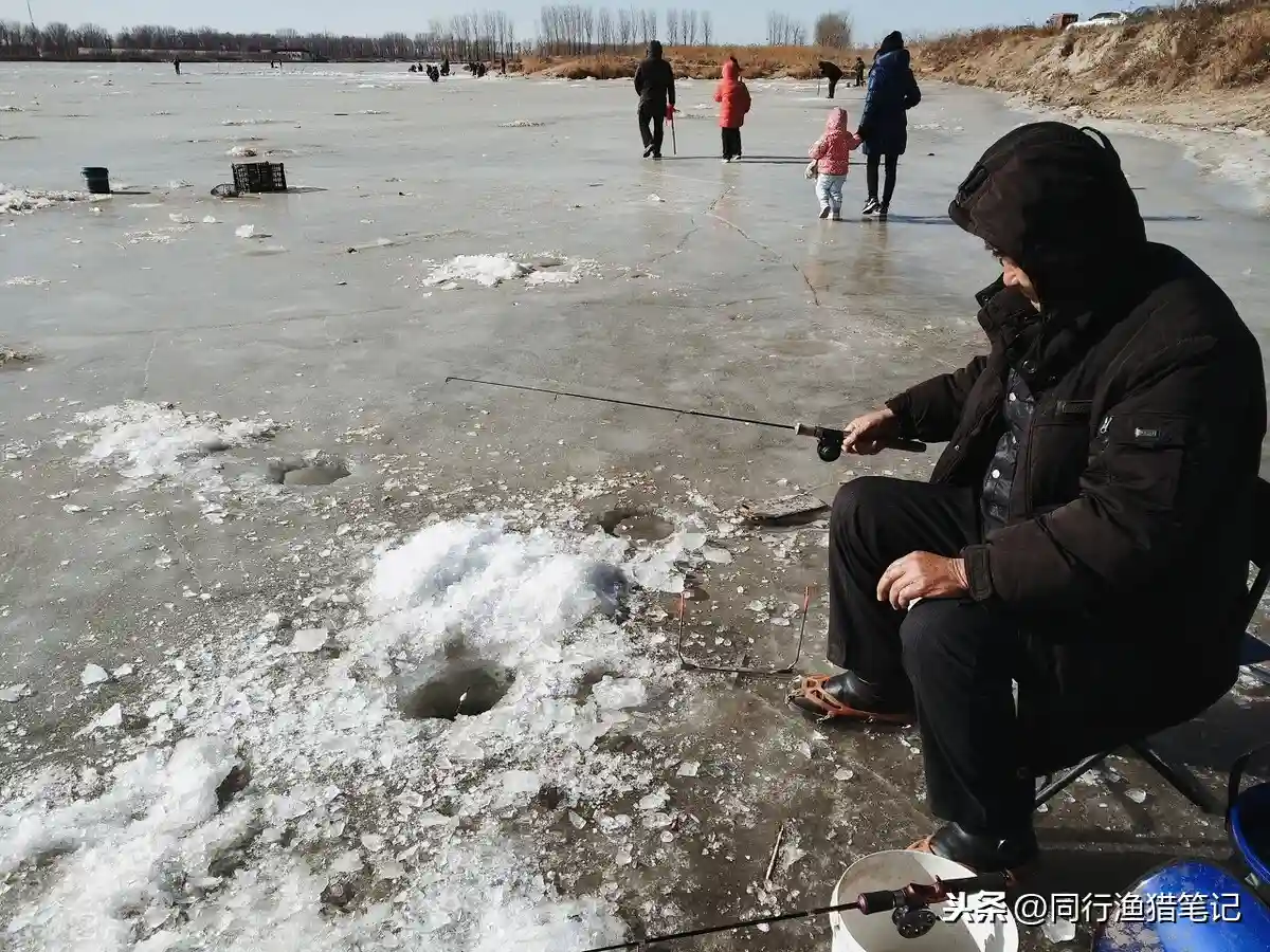 冬天怎么钓鲫鱼？用饵、钓位、天气、装备、技巧一个都不能少