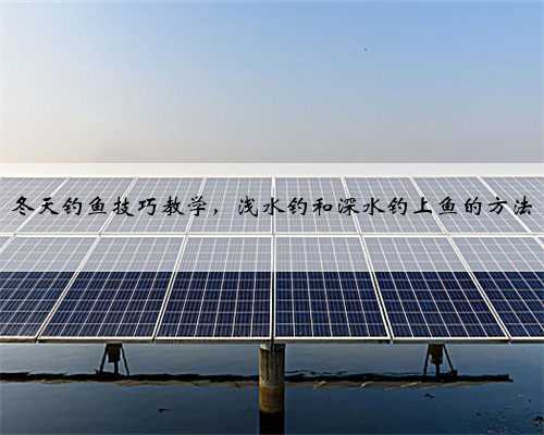 冬天钓鱼技巧教学，浅水钓和深水钓上鱼的方法