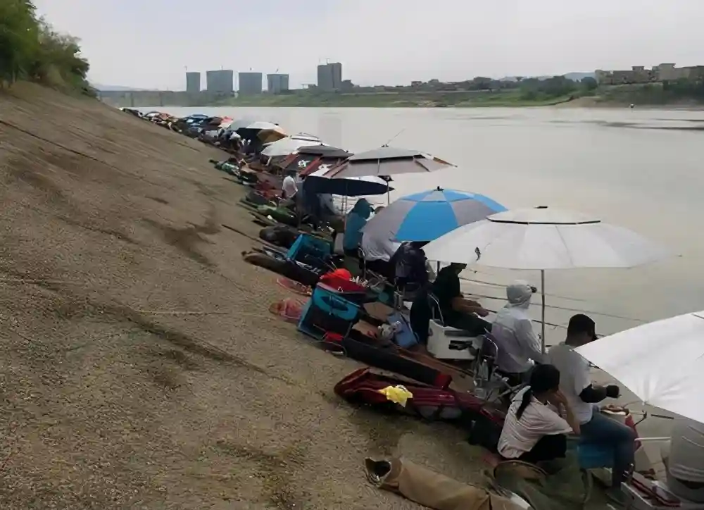 野河钓鱼如何选钓位，屁股坐正大鲫大鲤，老钓友不会告诉你的钓位