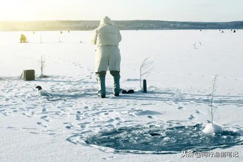 冬天怎么钓鲫鱼？用饵、钓位、天气、装备、技巧一个都不能少