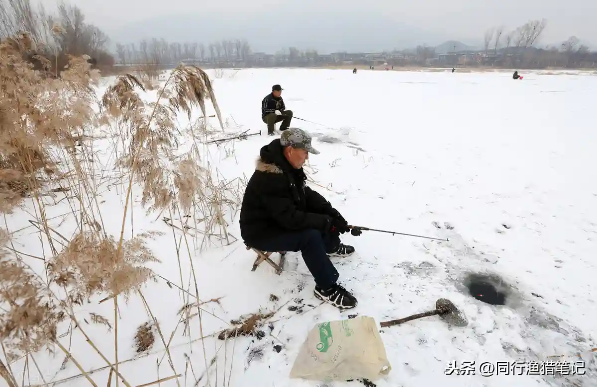 冬天怎么钓鲫鱼？用饵、钓位、天气、装备、技巧一个都不能少