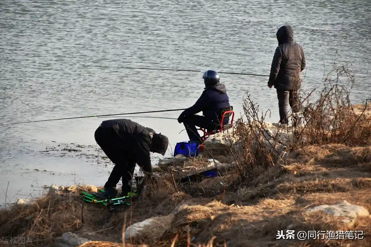 冬天怎么钓鲫鱼？用饵、钓位、天气、装备、技巧一个都不能少