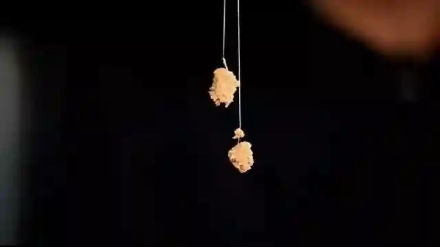 一小时能钓数百尾的神奇钓法，你用对了吗？