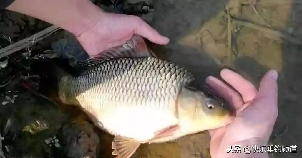 劓刑，究竟是啥玩意？