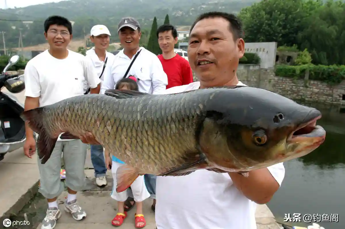 滑漂钓法的组成与运用，这一篇文章给你讲的明明白白