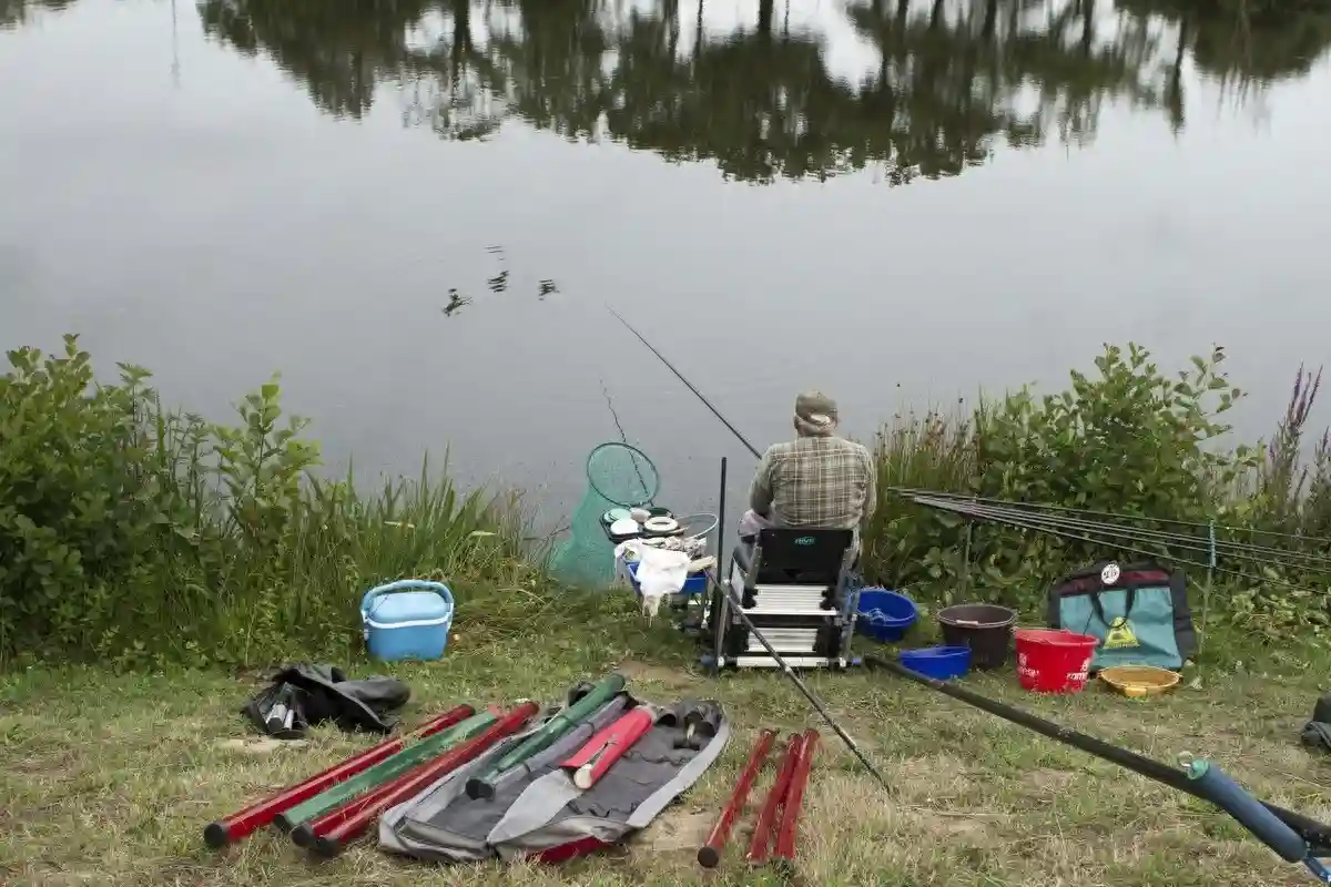 钓鱼并不一定要两枚钩，通线单钩钓法与台钓双钩钓法对比