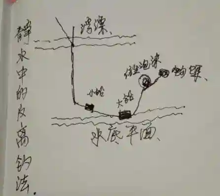 学会这两种反底钓法，钓大鱼又多了一分把握