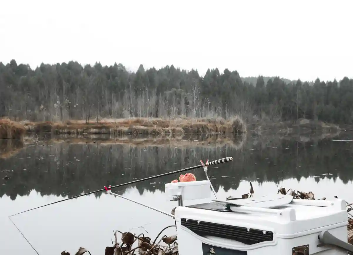 钓鱼并不一定要两枚钩，通线单钩钓法与台钓双钩钓法对比