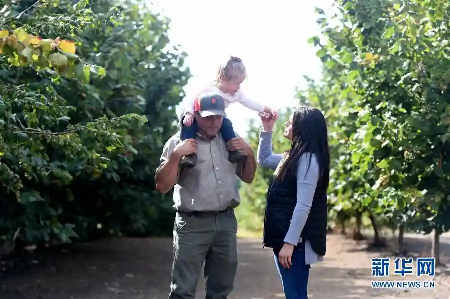 “这些树寄托着我们对中国市场的信心”——探访美俄勒冈州榛子果农