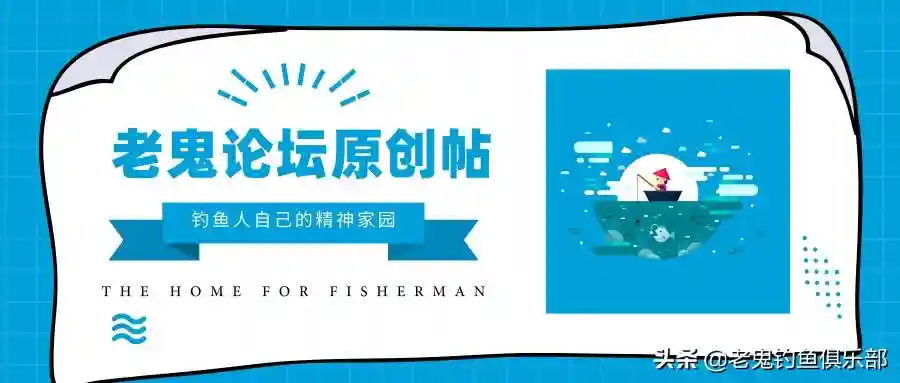 用老鬼的三款经典饵料，轻松拉冬鲫