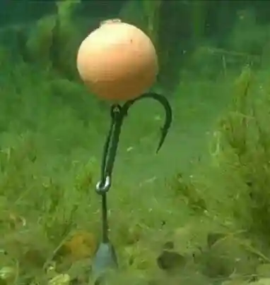 学会这两种反底钓法，钓大鱼又多了一分把握