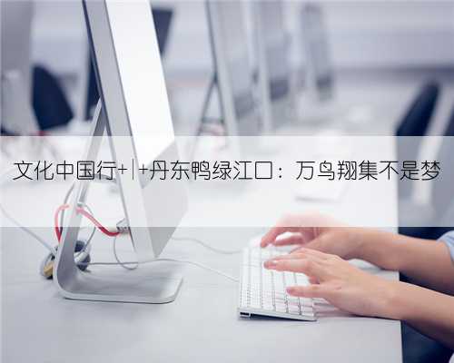 文化中国行 | 丹东鸭绿江口：万鸟翔集不是梦