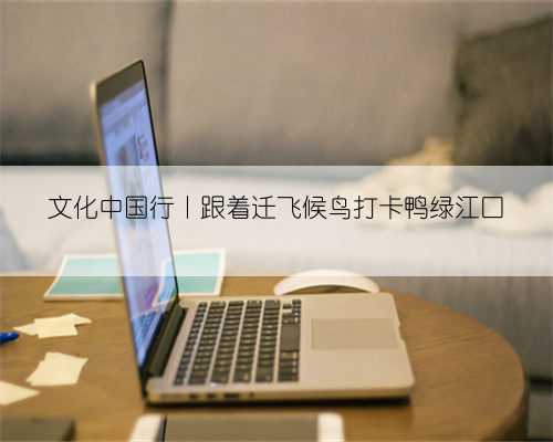 文化中国行丨跟着迁飞候鸟打卡鸭绿江口