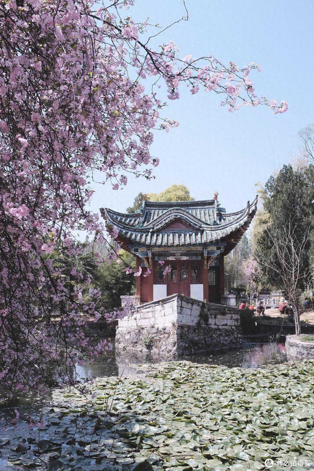 【云南旅游防坑指南】买错东西？被强制购物？不要怕，咱上面有人