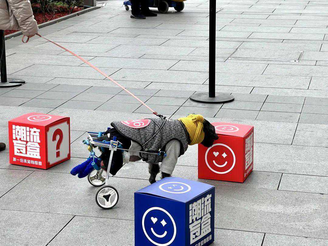 嘿尾GO！这个周末，大宁音乐广场超火热！｜跨年迎新购物季