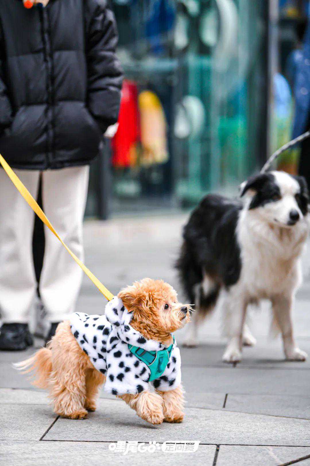 嘿尾GO！这个周末，大宁音乐广场超火热！｜跨年迎新购物季